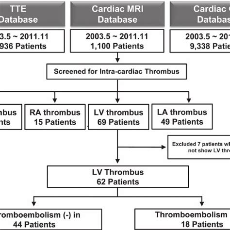 apixaban dose for lv thrombus|guidelines for lv thrombus anticoagulation.